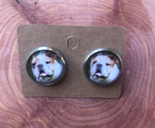 Load image into Gallery viewer, English Bull Dog Breed Earrings Dangle/Drop or Stud 12mm