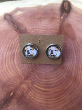 Load image into Gallery viewer, English Bull Dog Breed Earrings Dangle/Drop or Stud 12mm