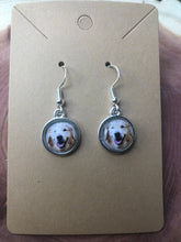 Load image into Gallery viewer, English Bull Dog Breed Earrings Dangle/Drop or Stud 12mm