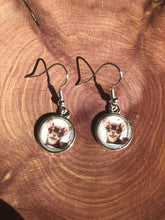 Load image into Gallery viewer, Chihuahua Dog Breed Earrings Dangle/Drop or Stud 12mm