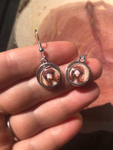 Load image into Gallery viewer, Custom Dog/Cat/Pet Earrings Dangle/Drop or Stud 12mm