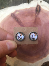 Load image into Gallery viewer, English Bull Dog Breed Earrings Dangle/Drop or Stud 12mm