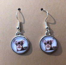 Load image into Gallery viewer, Chihuahua Dog Breed Earrings Dangle/Drop or Stud 12mm