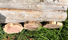 Load image into Gallery viewer, 3 Gorgeous SANDED 8”  red cedar slices cookies slabs rounds centerpiece live edge—free gift with purchase! Wedding, crafts and more!