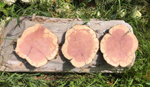 Load image into Gallery viewer, 3 Gorgeous SANDED 8”  red cedar slices cookies slabs rounds centerpiece live edge—free gift with purchase! Wedding, crafts and more!