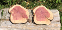 Load image into Gallery viewer, 2 Gorgeous 8x9” SANDED red cedar rustic slices cookies slabs rounds centerpiece live edge—free gift with purchase! Wedding, crafts and more!