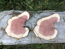 Load image into Gallery viewer, 2 Gorgeous 8.5x7” SANDED red cedar rustic slices cookies slabs rounds centerpiece live edge—free gift with purchase! Wedding
