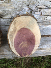 Load image into Gallery viewer, 4 Gorgeous 4.5x3 oblong red cedar rusticslices/cookies/slabs/rounds centerpiece live edge—free gift with purchase! Wedding, crafts and more!