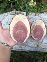 Load image into Gallery viewer, 4 Gorgeous 4.5x3 oblong red cedar rusticslices/cookies/slabs/rounds centerpiece live edge—free gift with purchase! Wedding, crafts and more!