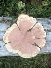 Load image into Gallery viewer, 10x10” SANDED red cedar rustic slice cookie slab round centerpiece live edge—free gift with purchase! Wedding, crafts and more!