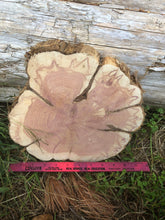 Load image into Gallery viewer, 10x10” SANDED red cedar rustic slice cookie slab round centerpiece live edge—free gift with purchase! Wedding, crafts and more!