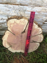 Load image into Gallery viewer, 10x10” SANDED red cedar rustic slice cookie slab round centerpiece live edge—free gift with purchase! Wedding, crafts and more!