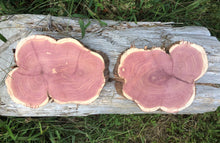 Load image into Gallery viewer, 2 Gorgeous 9.5x7” SANDED red rustic cedar slices cookies slabs rounds centerpiece live edge—free gift! Wedding, crafts and more!—unique!