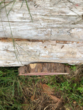 Load image into Gallery viewer, 10” SANDED Red cedar Rustic slice cookie slab round centerpiece live edge—free gift with purchase! Wedding, crafts and more!