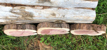 Load image into Gallery viewer, 3 Gorgeous 10in red cedar slices/cookies/slabs/rounds centerpiece live edge—free gift with purchase! Wedding, crafts, Rustic
