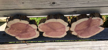 Load image into Gallery viewer, 3 Gorgeous 9” SANDED red cedar slices cookies slabsrounds centerpiece live edge—free gift with purchase! Wedding, crafts, Rustic