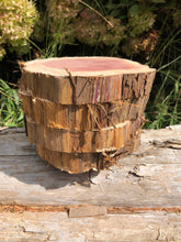 Load image into Gallery viewer, 4 Gorgeous 6” SANDED red cedar rusticslices/cookies/slabs/rounds centerpiece live edge—free gift with purchase! Wedding, crafts and more!