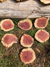 Load image into Gallery viewer, 10Gorgeous 6”-7” red cedar rustic slicescookies slabs rounds centerpiece live edge—free gift with purchase! Wedding, crafts and more!
