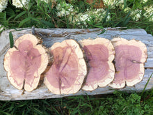 Load image into Gallery viewer, 4 Gorgeous 8in red cedar slices/cookies/slabs/rounds centerpiece live edge—free gift with purchase! Wedding, crafts and more!