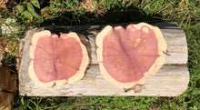 Load image into Gallery viewer, 10” (2) set SANDED red cedar rustic slice cookie slab round centerpiece live edge—free gift with purchase! Wedding, crafts and more!