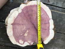 Load image into Gallery viewer, 10” (2) set SANDED red cedar rustic slice cookie slab round centerpiece live edge—free gift with purchase! Wedding, crafts and more!