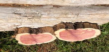 Load image into Gallery viewer, 10” (2) set SANDED red cedar rustic slice cookie slab round centerpiece live edge—free gift with purchase! Wedding, crafts and more!