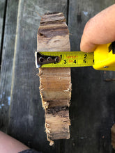 Load image into Gallery viewer, 9”X8” set of 2 SANDED Red cedar slice cookie slab round centerpiece live edge—free gift with purchase! Wedding, crafts and more!