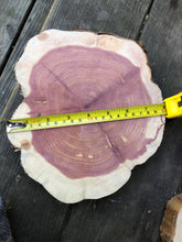 Load image into Gallery viewer, 9”X8” set of 2 SANDED Red cedar slice cookie slab round centerpiece live edge—free gift with purchase! Wedding, crafts and more!