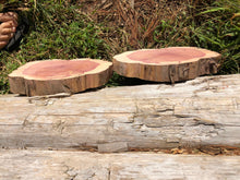Load image into Gallery viewer, 9”X8” set of 2 SANDED Red cedar slice cookie slab round centerpiece live edge—free gift with purchase! Wedding, crafts and more!