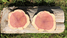 Load image into Gallery viewer, 9”X8” set of 2 SANDED Red cedar slice cookie slab round centerpiece live edge—free gift with purchase! Wedding, crafts and more!