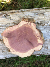 Load image into Gallery viewer, 7” SANDED red cedar rustic slice cookie slab round centerpiece live edge—free gift with purchase! Wedding, crafts and more!