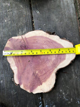Load image into Gallery viewer, 4 Gorgeous 7”-8” SANDED red cedar slices cookies slabsrounds centerpiece live edge—free gift with purchase! Wedding, crafts, Rustic