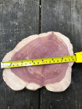 Load image into Gallery viewer, 4 Gorgeous 7”-8” SANDED red cedar slices cookies slabsrounds centerpiece live edge—free gift with purchase! Wedding, crafts, Rustic