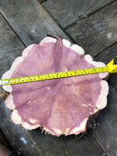 Load image into Gallery viewer, Red cedar wood slice, tree slab, for centerpieces, wedding decor, large wood round 12”X11”