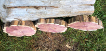 Load image into Gallery viewer, Red cedar wood slices tree slabs, for centerpieces, wedding decor, large wood round 12”X11” set of 3–free gift!
