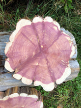 Load image into Gallery viewer, Red cedar wood slices tree slabs, for centerpieces, wedding decor, large wood round 12”X11” set of 3–free gift!