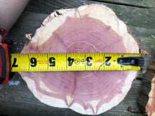 Load image into Gallery viewer, 6 Gorgeous 7” SANDED red cedar rustic slices cookies slabs rounds centerpiece live edge—free gift with purchase! Wedding, crafts and more!