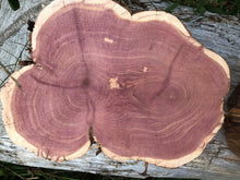 Load image into Gallery viewer, 2 Gorgeous 9.5x7” SANDED red rustic cedar slices cookies slabs rounds centerpiece live edge—free gift! Wedding, crafts and more!—unique!