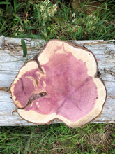 Load image into Gallery viewer, 10” SANDED Red cedar Rustic slice cookie slab round centerpiece live edge—free gift with purchase! Wedding, crafts and more!