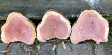 Load image into Gallery viewer, 2 Gorgeous 7” red cedar slices/cookies/slabs/rounds centerpiece live edge—free gift with purchase! Wedding, crafts, Rustic