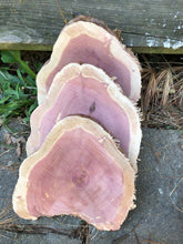 Load image into Gallery viewer, 3 Gorgeous 7” red cedar slices/cookies/slabs/rounds centerpiece live edge—free gift with purchase! Wedding, crafts, Rustic