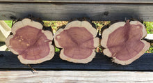 Load image into Gallery viewer, 3 Gorgeous 9” SANDED red cedar slices cookies slabsrounds centerpiece live edge—free gift with purchase! Wedding, crafts, Rustic
