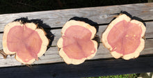 Load image into Gallery viewer, 3 Gorgeous 9” SANDED red cedar slices cookies slabsrounds centerpiece live edge—free gift with purchase! Wedding, crafts, Rustic
