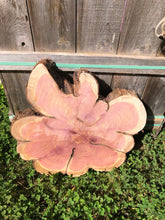 Load image into Gallery viewer, 22” and 2”thick SANDED red cedar rustic slice cookie slab round table top live edge—free gift with purchase! Wedding, crafts and more!