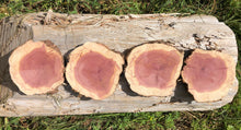 Load image into Gallery viewer, 4 Gorgeous 6” SANDED red cedar rusticslices/cookies/slabs/rounds centerpiece live edge—free gift with purchase! Wedding, crafts and more!