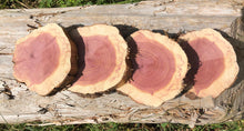Load image into Gallery viewer, 4 Gorgeous 6” SANDED red cedar rusticslices/cookies/slabs/rounds centerpiece live edge—free gift with purchase! Wedding, crafts and more!