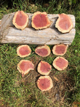 Load image into Gallery viewer, 10Gorgeous 6”-7” red cedar rustic slicescookies slabs rounds centerpiece live edge—free gift with purchase! Wedding, crafts and more!