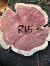 Load image into Gallery viewer, 15” Red cedar wood slice, tree slab, for centerpieces, wedding decor, large wood round