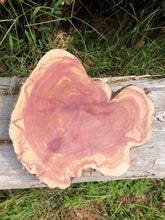 Load image into Gallery viewer, 12” Sanded Red cedar Rustic slice cookie slab round centerpiece live edge—free gift with purchase! Wedding, crafts and more!