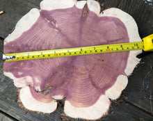 Load image into Gallery viewer, 10” (2) setmirrored SANDED red cedar rustic slice cookie slab round centerpiece live edge—free gift with purchase! Wedding, crafts and more!